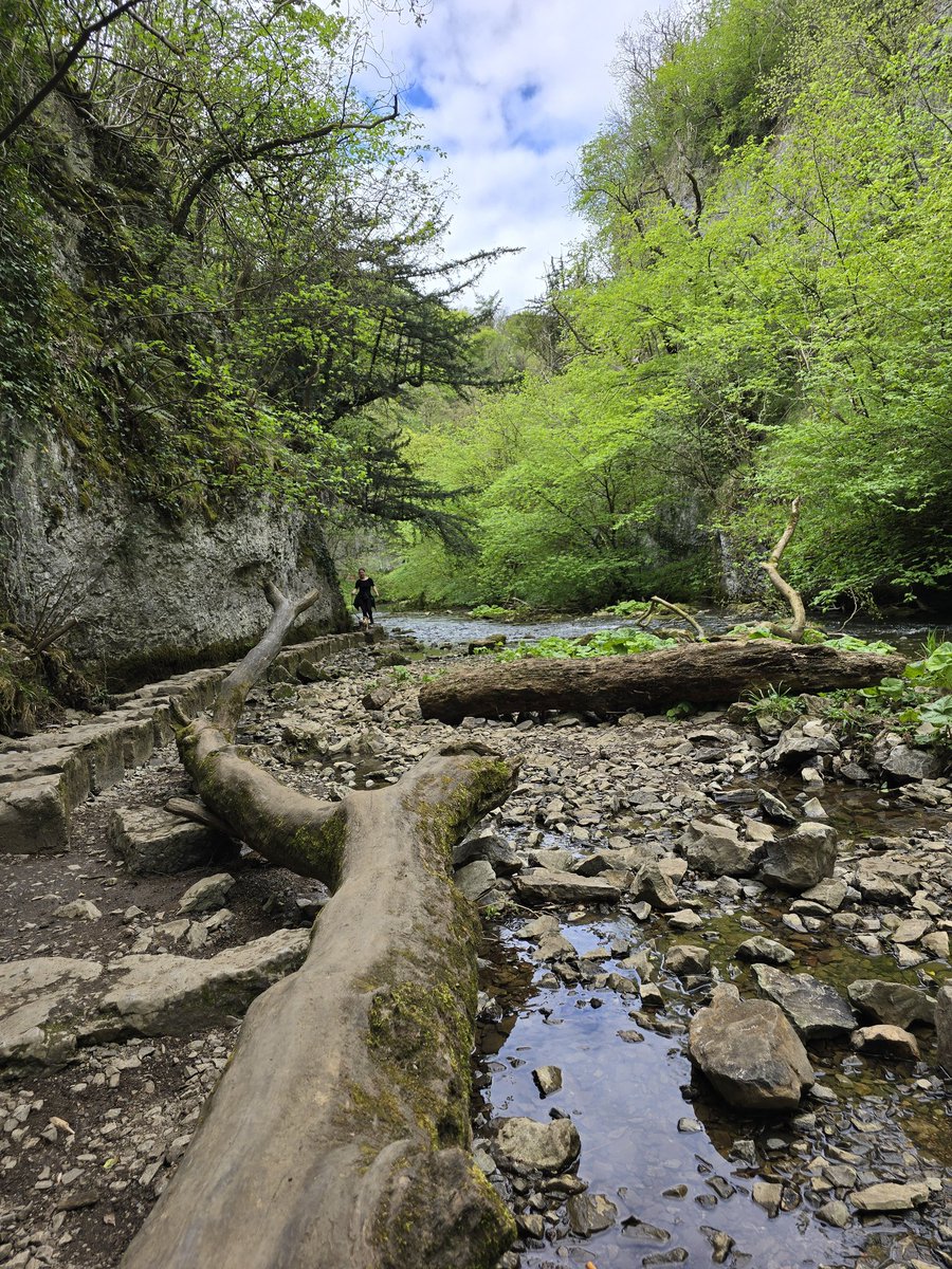 Louis Muir tweet media