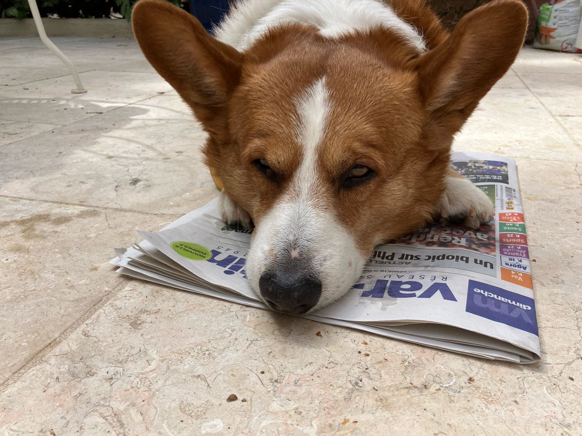 #GeorgeliebtPrint - jetzt mal die „Var Matin“