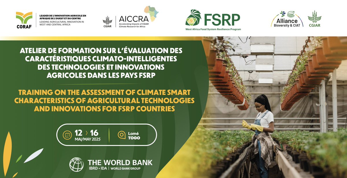CORAF (@corafnews) on Twitter photo #HappeningToday 🇹🇬 | May 12–16, 2025
<a href="/CORAFNews/">CORAF</a> & <a href="/BiovIntCIAT_eng/">Alliance of Bioversity International and CIAT</a> launch a regional workshop to assess climate-smart characteristics of ag technologies & innovations under #FSRP & #AICCRA.
📌5 days to boost adoption of #ClimateSmart solutions for West African farmers. #HappeningToday 🇹🇬 | May 12–16, 2025
<a href="/CORAFNews/">CORAF</a> & <a href="/BiovIntCIAT_eng/">Alliance of Bioversity International and CIAT</a> launch a regional workshop to assess climate-smart characteristics of ag technologies & innovations under #FSRP & #AICCRA.
📌5 days to boost adoption of #ClimateSmart solutions for West African farmers.