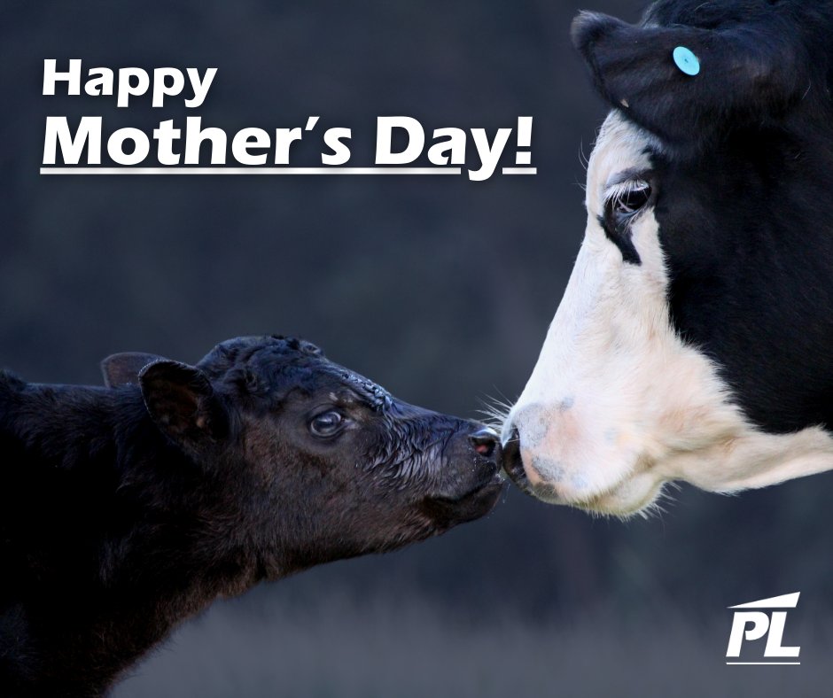 To all the moms out there, Happy Mother's Day from Producers Livestock!