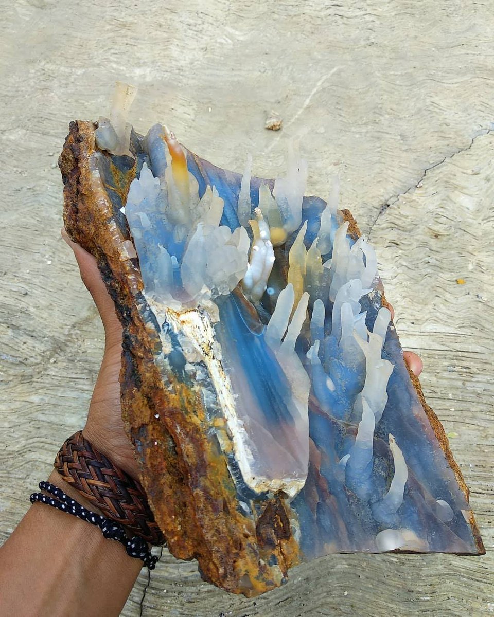 GeologyTime's tweet photo. Check Out This Gorgeous Piece of chalcedony Petrified Wood, Indonesia... Never Ever Seen It

Photos by: jack_store24 https://t.co/j2kpNXiElA