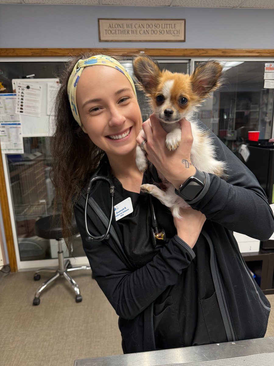 Savannah_Tay1's tweet image. Like come ON 😂 #vettech