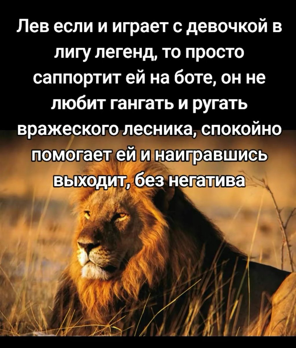неправильно. обосрать надо всех, а про свою девочку-адк сказать что она самая умная и классная, даже если у нее счëт 0/10/3