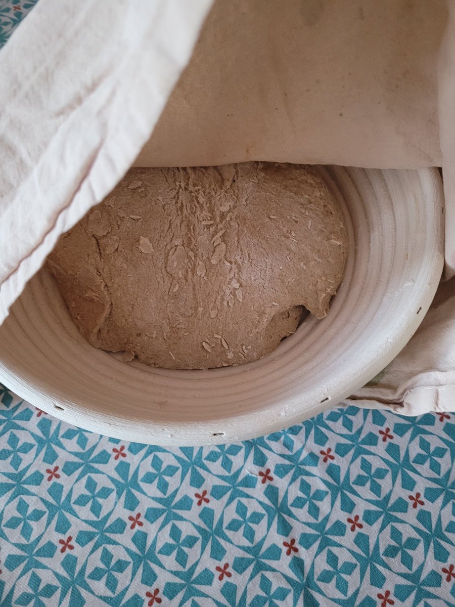 berner_ulrike's tweet image. New sourdough bread is sleeping and hopefully growing. Tomorrow I'll bake it. @SourdoughWeekly #sourdough #bakingbread
