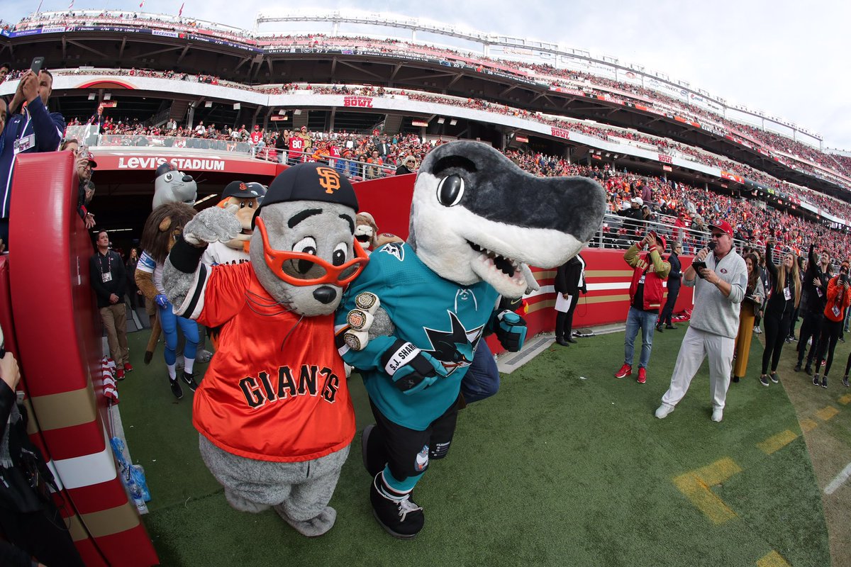 LouSeal01's tweet photo. Help my BFF, @sjsharkie get into the 2025 #MascotHOF 
#BayAreaUnite VOTE NOW! @MascotHall 

https://t.co/OnrkQn8HFj https://t.co/jeVrceuL0k