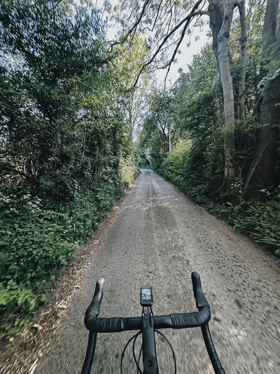 kylebc86's tweet image. ☀️