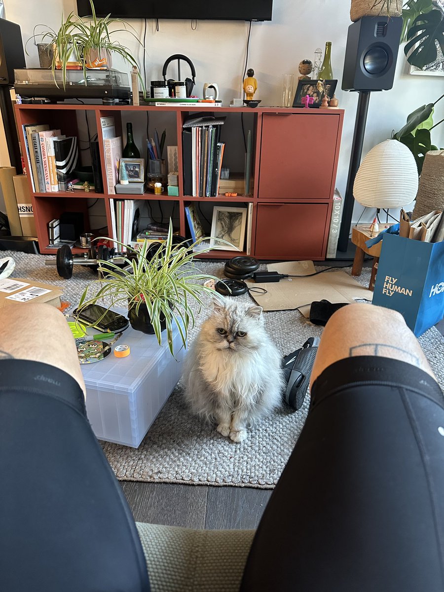 kylebc86's tweet image. ☀️