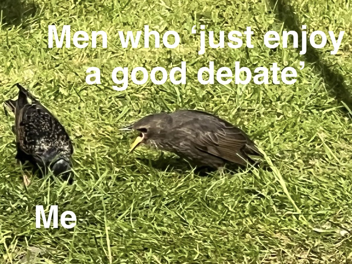 Took this photo today and realised it essentially depicts my experience of being a woman on Twitter