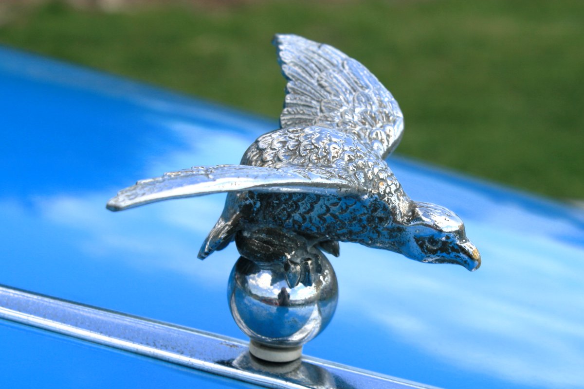 BesterRobert's tweet photo. #AlphabetChallenge #WeekSforSilver
Taken on 10 May at our local Flower Parade in Spalding.
Instrument and Daimler Car. https://t.co/O8kxNNo6wM
