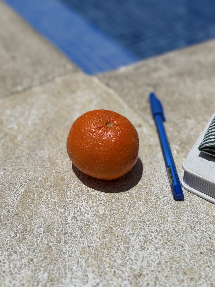 naranjas al sol