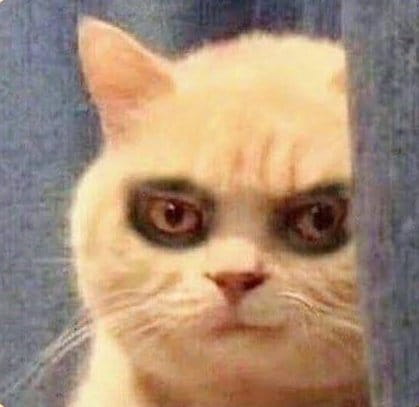 KumarNirupam1's tweet image. 🚀 In Today&apos;s Cohort!
&amp;gt; We continued the frontend ui implementation in the LeetLab project
&amp;gt; Thanks @sigmadev234 sir ..

...it was a long class  
#chaicode