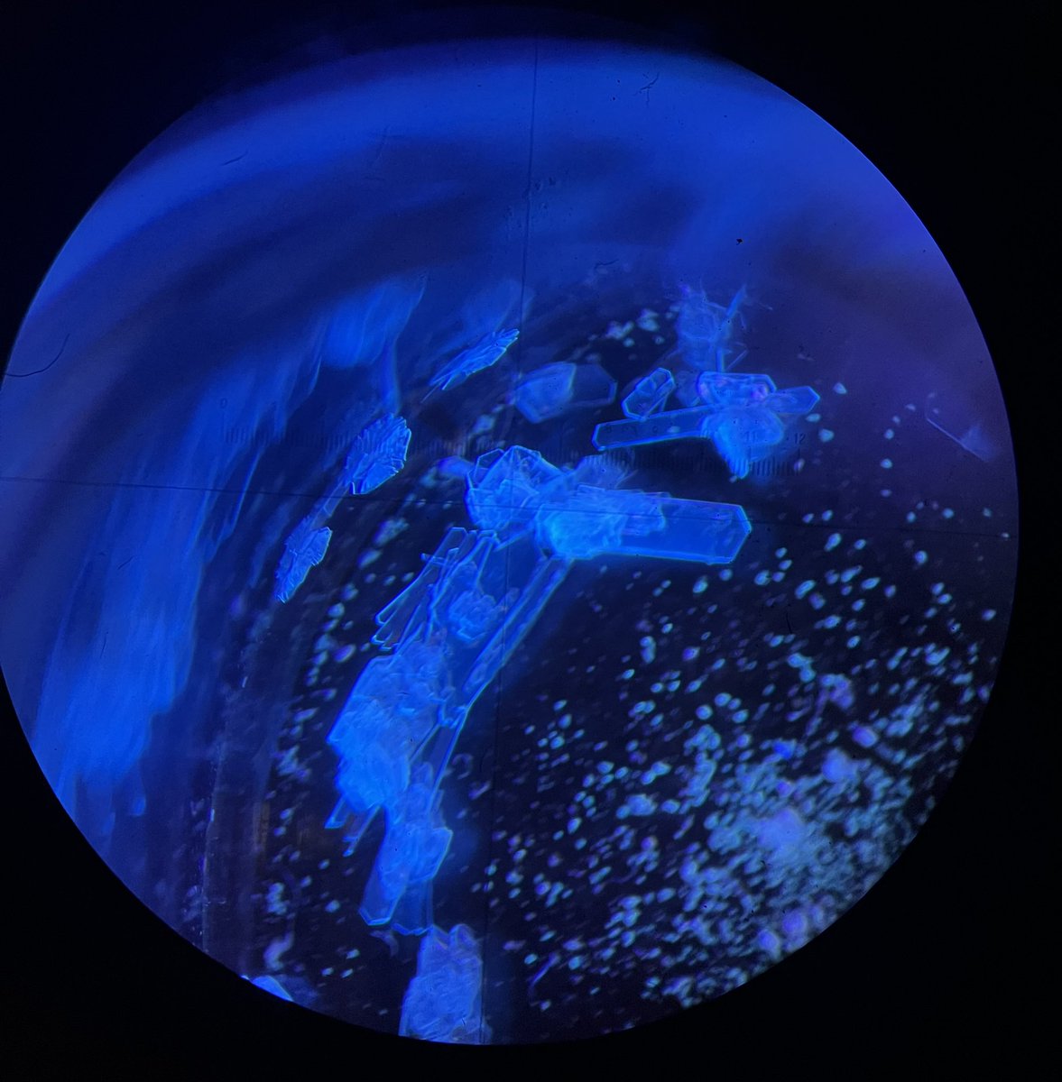 Cheret_Yohan's tweet photo. Always amazed at what can come out of a laboratory ! https://t.co/sjBsufwfaq
