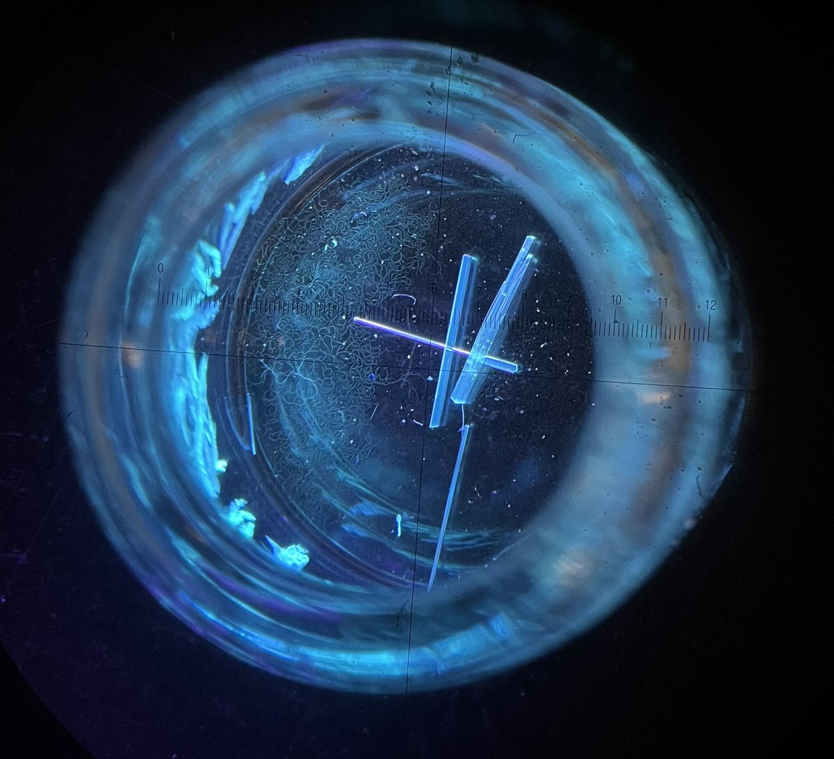Cheret_Yohan's tweet photo. Always amazed at what can come out of a laboratory ! https://t.co/sjBsufwfaq