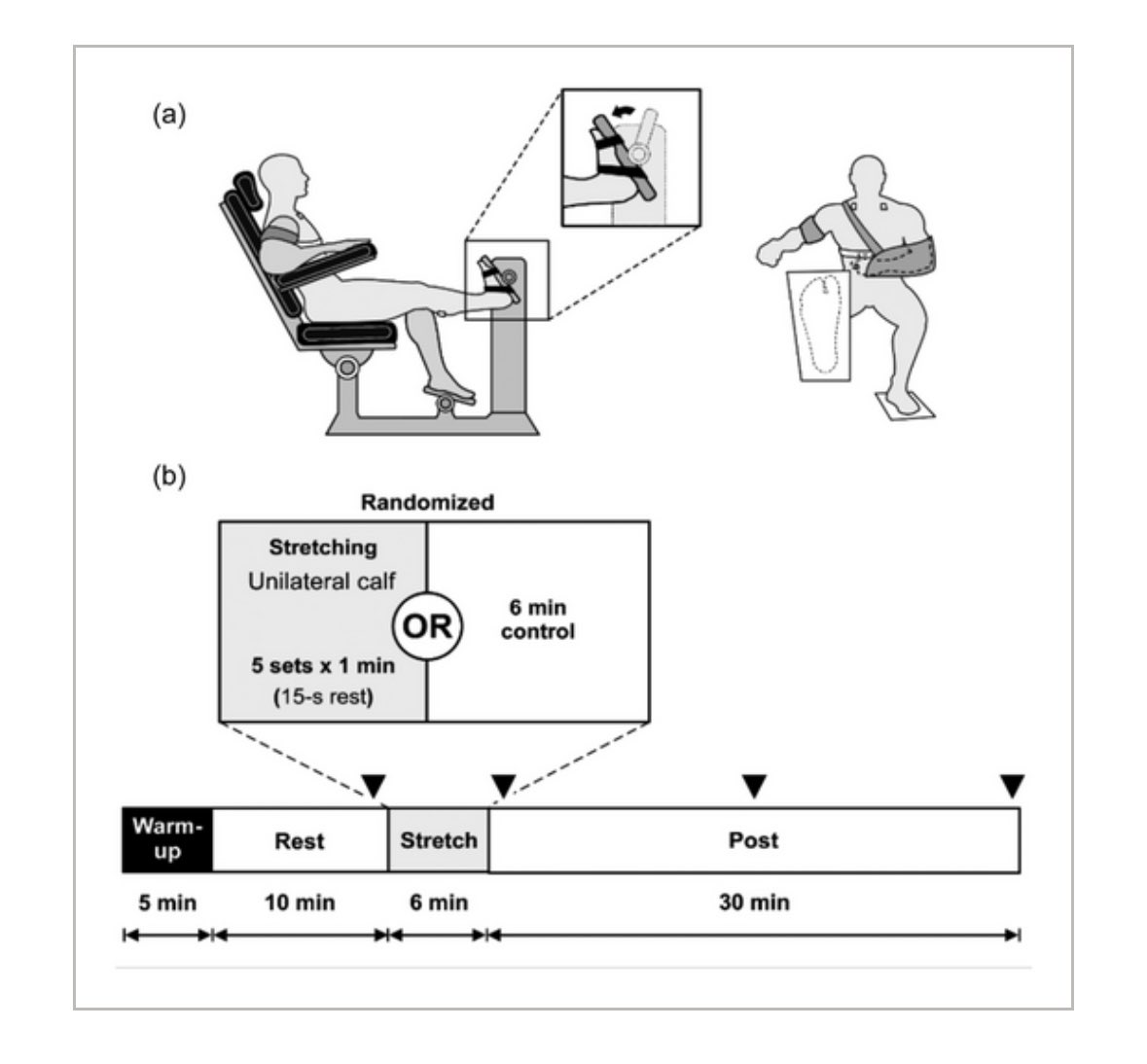 NeuroV̇ASQ̇ - Integrative Physiology Lab. (@neurovasq) on Twitter photo 🚨Check out our latest #article led by <a href="/georgia_lehnen/">Georgia Lehnen</a> !!
"Increases in cardiac vagal modulation following muscle mechanoreflex activation via passive calf stretch: Impact of interindividual differences”
<a href="/gabrielstrajano/">Gabriel Trajano</a>
<a href="/lauro_vianna/">Lauro Vianna</a>
<a href="/ExpPhysiol/">Experimental Physiology</a>
physoc.onlinelibrary.wiley.com/doi/10.1113/EP… 🚨Check out our latest #article led by <a href="/georgia_lehnen/">Georgia Lehnen</a> !!
"Increases in cardiac vagal modulation following muscle mechanoreflex activation via passive calf stretch: Impact of interindividual differences”
<a href="/gabrielstrajano/">Gabriel Trajano</a>
<a href="/lauro_vianna/">Lauro Vianna</a>
<a href="/ExpPhysiol/">Experimental Physiology</a>
physoc.onlinelibrary.wiley.com/doi/10.1113/EP…
