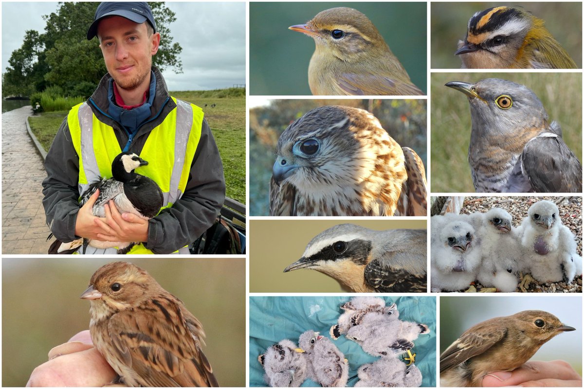 Owen Beaumont tweet media