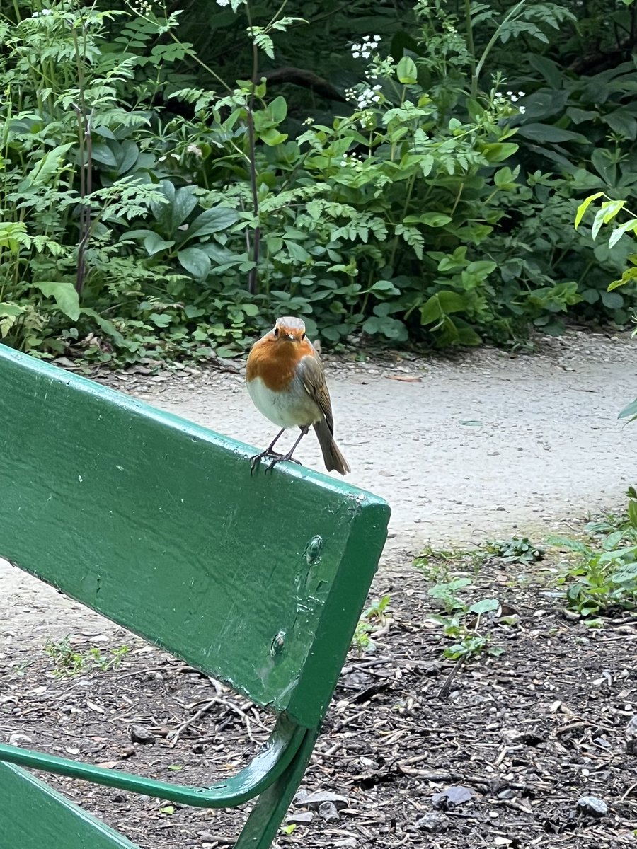 wilkoloopylu's tweet image. #NHS1000miles week 19 for 2025
Walk 🚶‍♀️16.65 miles 
Run 🏃🏻‍♀️ 25.30 miles
Total 41.95 miles 
YTD 748.36 miles 
A few days away in Bath and a cricket and football filled day today. Making the most of the lovely weather