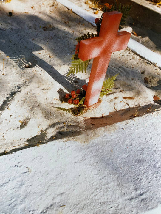 Altcini_'s tweet image. William Eggleston