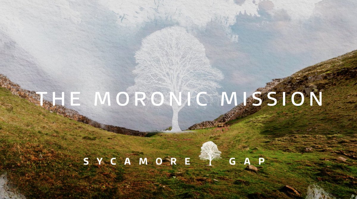 Helen Ford (@helenforditv) on Twitter photo Watch: our <a href="/itvtynetees/">ITV News Tyne Tees</a> mini documentary on the felling of the Sycamore Gap tree #ITVX
itv.com/watch/sycamore… Watch: our <a href="/itvtynetees/">ITV News Tyne Tees</a> mini documentary on the felling of the Sycamore Gap tree #ITVX
itv.com/watch/sycamore…