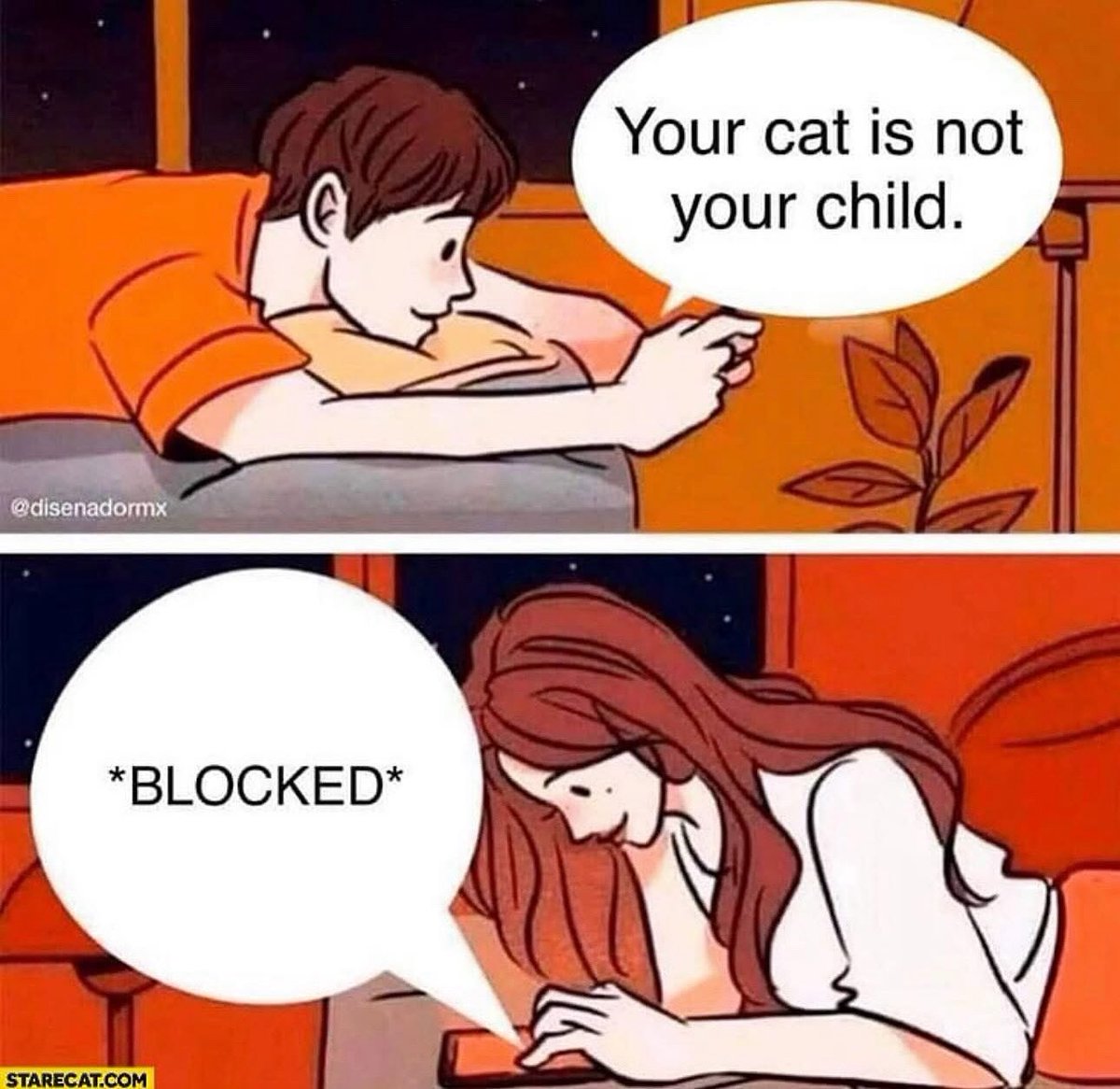 The Odd Cat Sanctuary tweet media