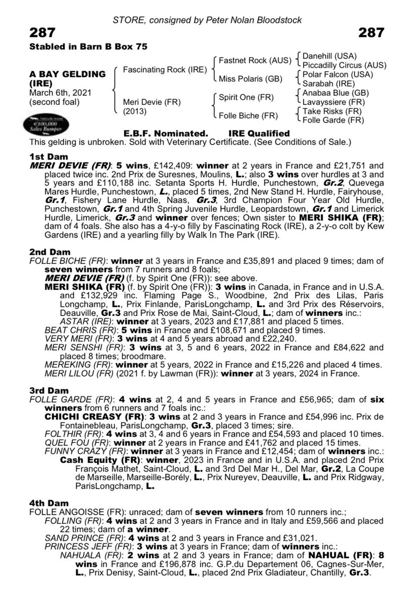 BurgageStud's tweet photo. Debut 4yo Maiden winner for FASCINTATING ROCK 💥 

Embrace The Day wins first time out for @Gaynestownstud 🏆 

Bought @Tattersalls_ie Derby Sale by @Doyle_Racing from @peternolanblds 🔨 

Bred by Mary M. Brennan 👏🏻 https://t.co/IJ8AFcyzdd
