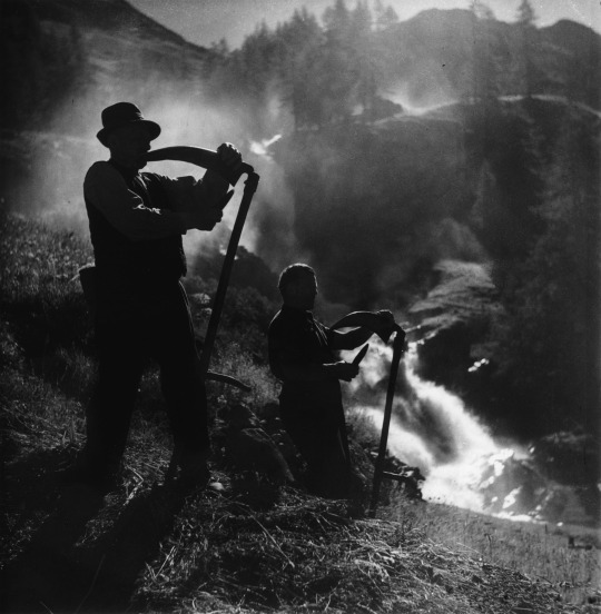 Altcini_'s tweet image. André Gamet