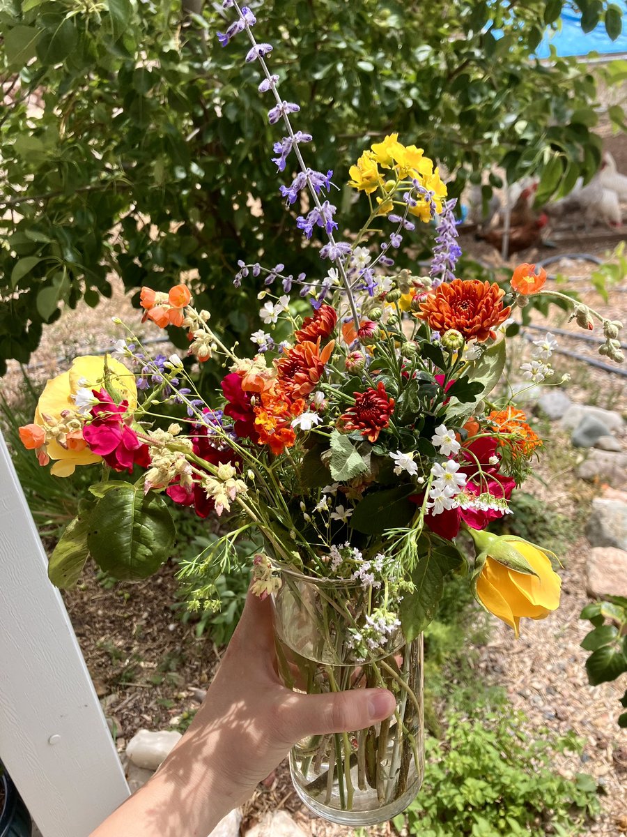 Grow wildflowers so you can gift your neighbor with a bouquet on Mother’s Day 💐