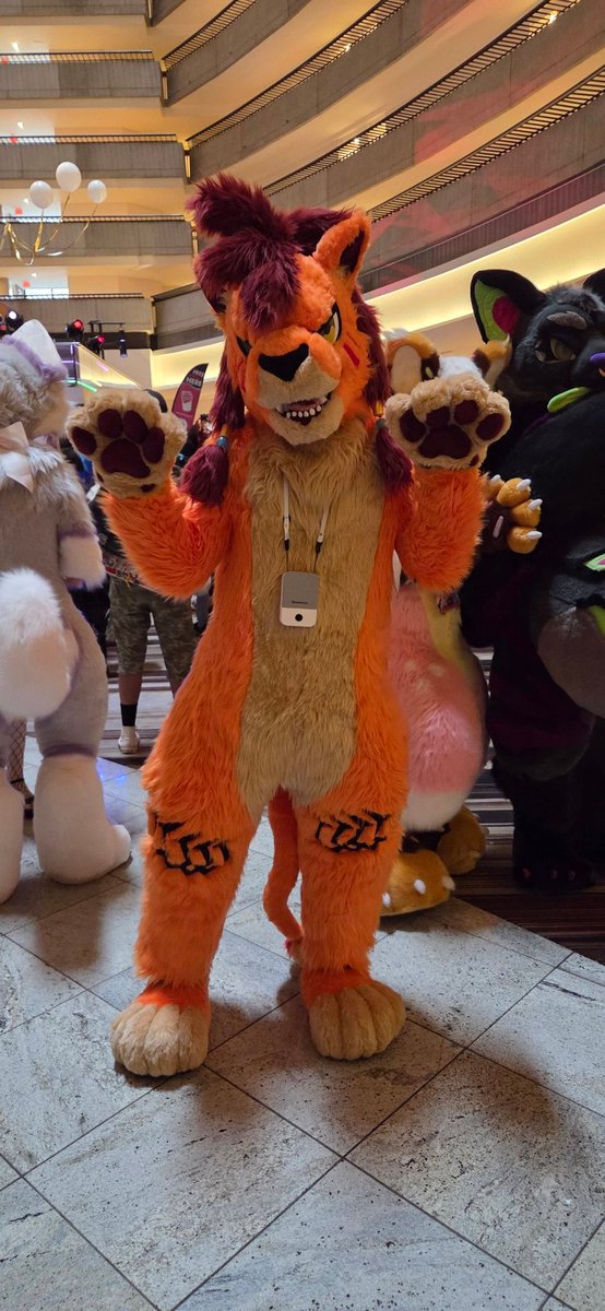 Now I gotta finish Rebirth. #FWA2025 #FWA25
