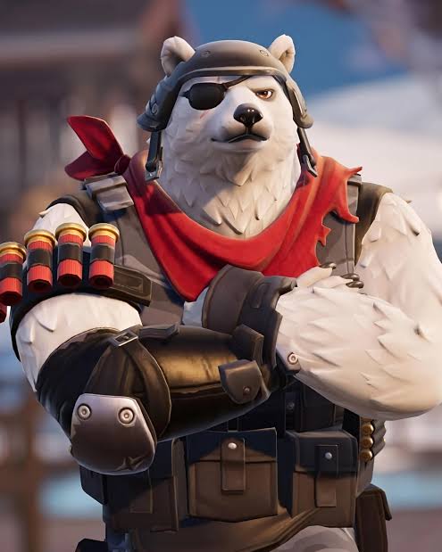 Mapache Pinto tweet media