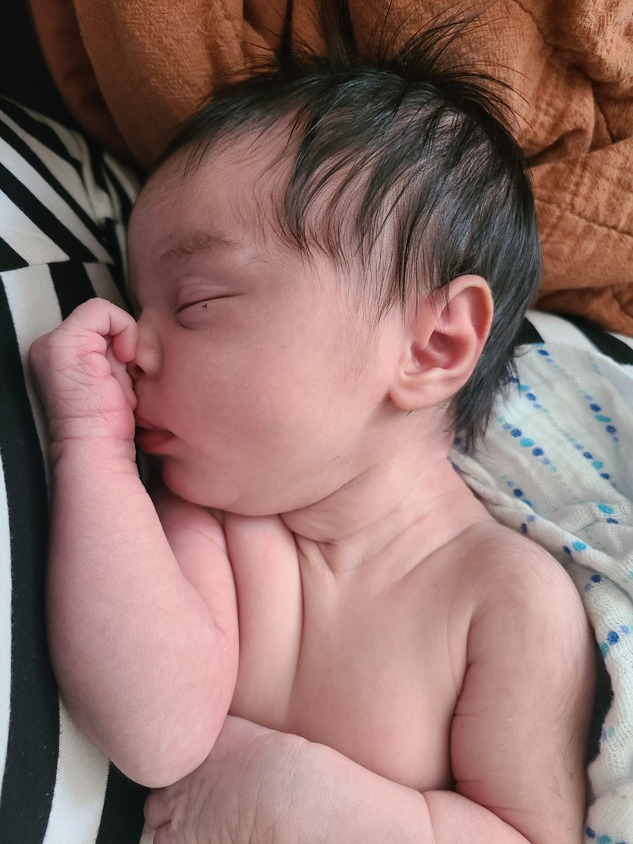 Corinne Low tweet media