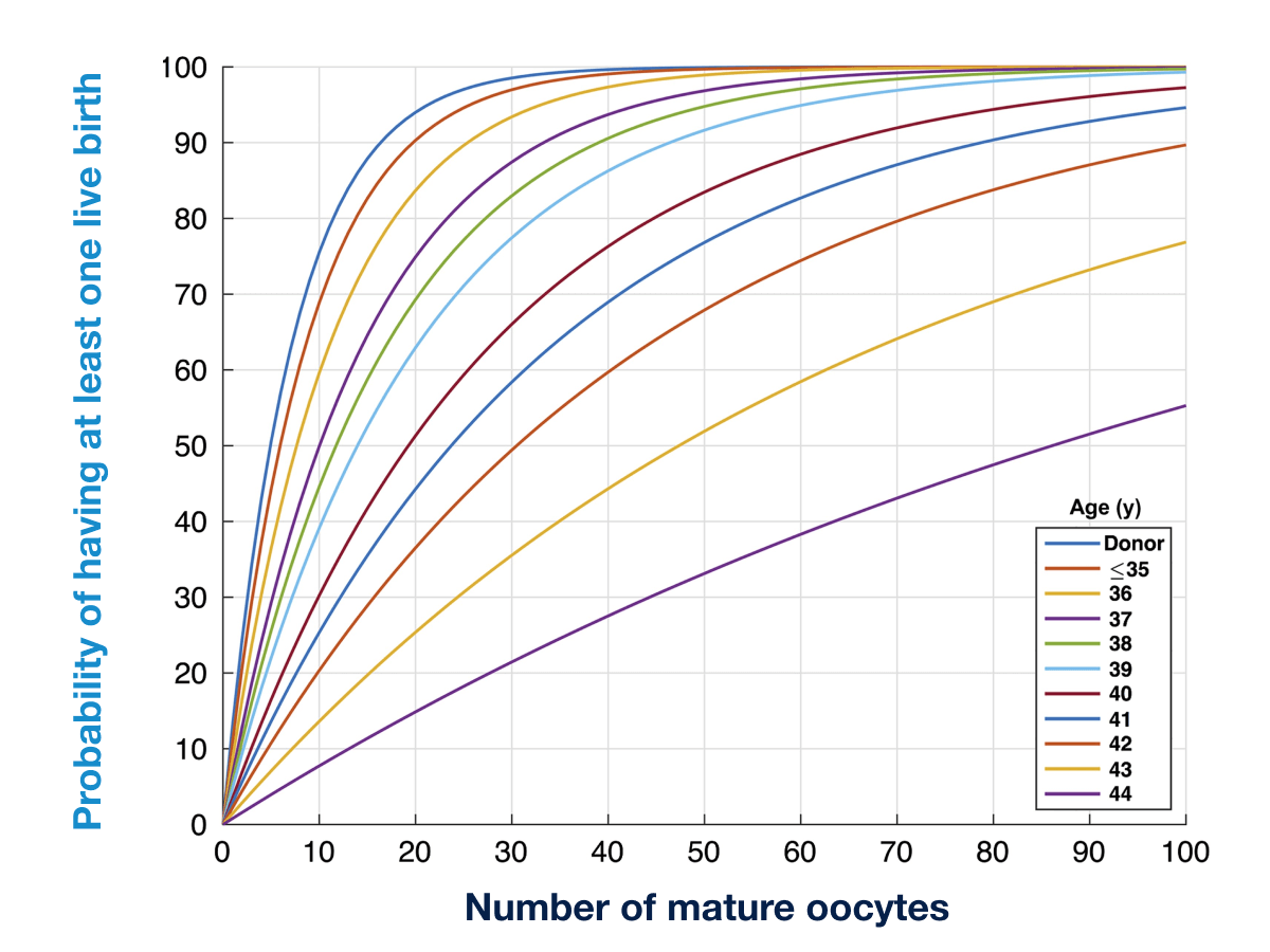 Corinne Low tweet media