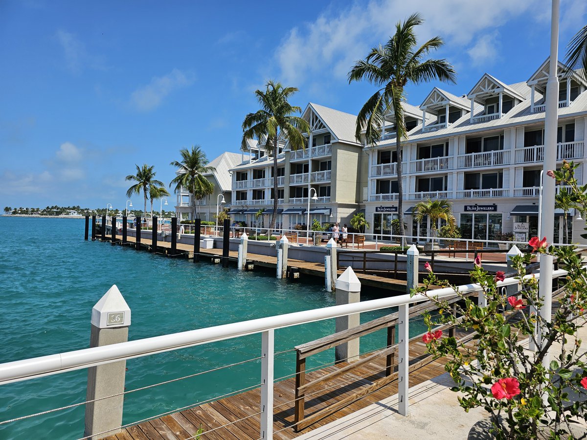 FlaKeysResorts's tweet image. Ever catch yourself staring at something so damn perfect it hurts?

That&apos;s this view at Opal Key Resort right now.

Where the water&apos;s looking like liquid turquoise...

And those palm trees are doing their lazy dance in the breeze.

Just white buildings against endless blue...…