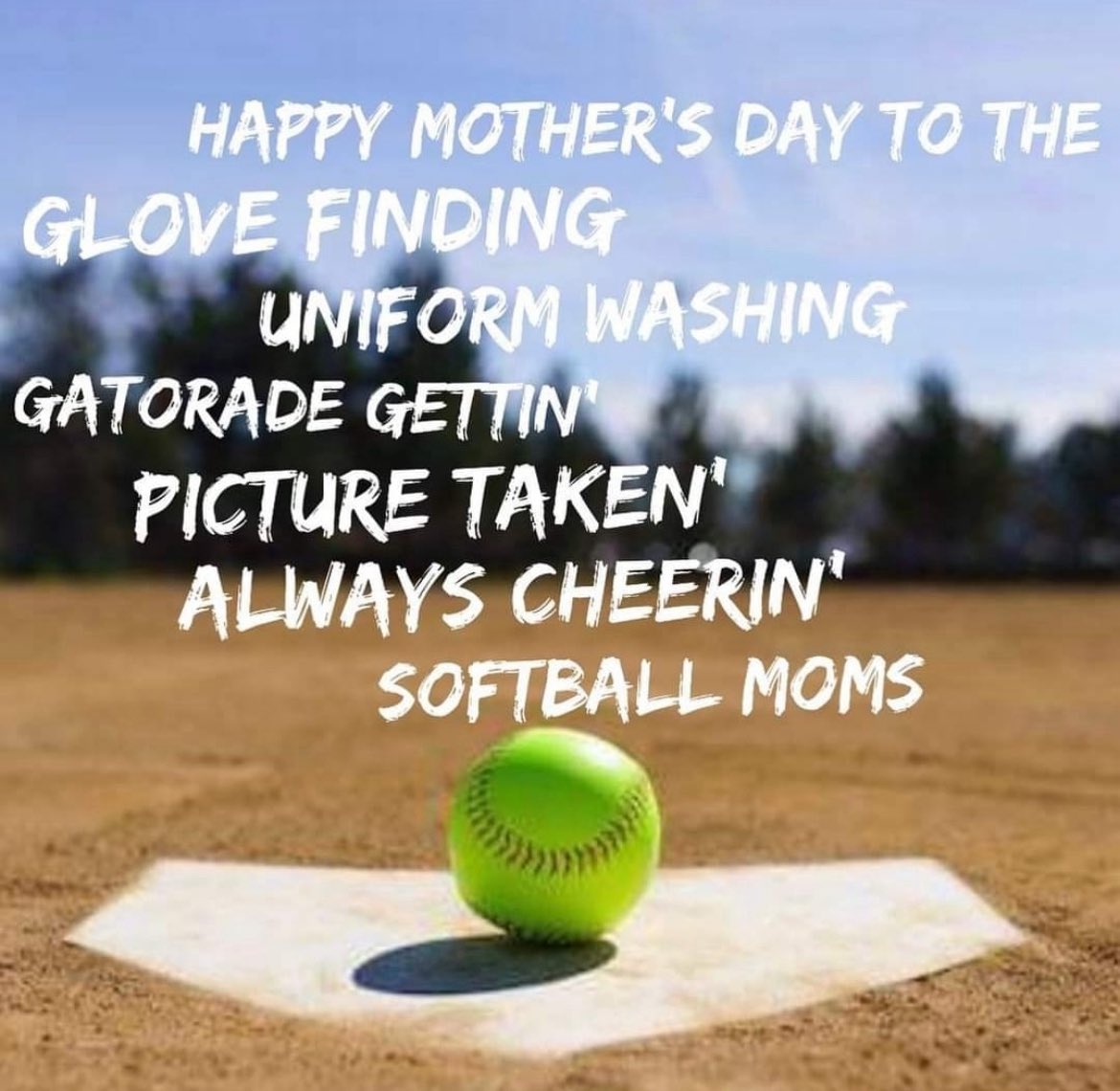 FHSLionsSoftball tweet media