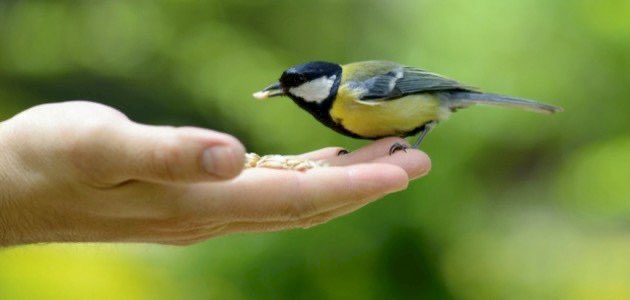 رافق الذي يترفق في التصرّف مع 

قلبـك  

*