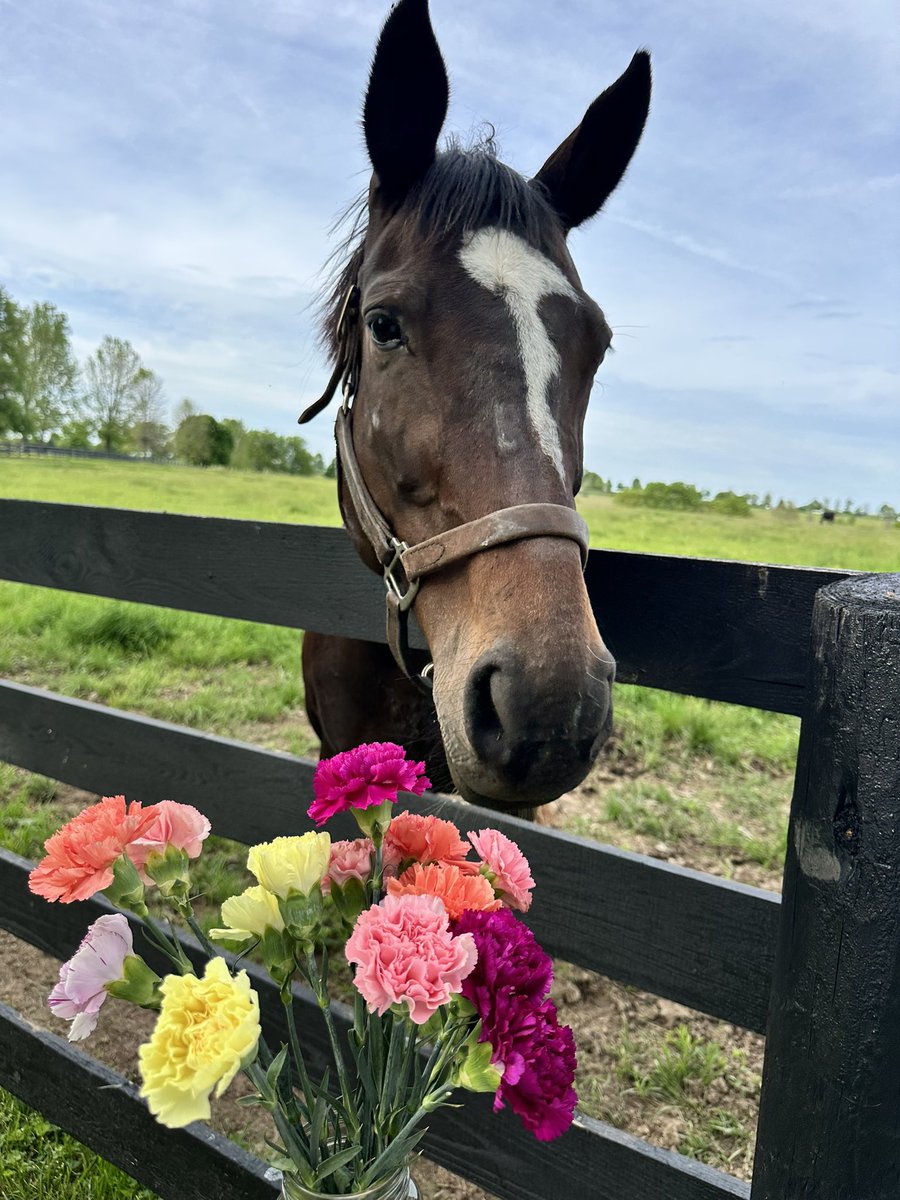 Kentucky Derby tweet media