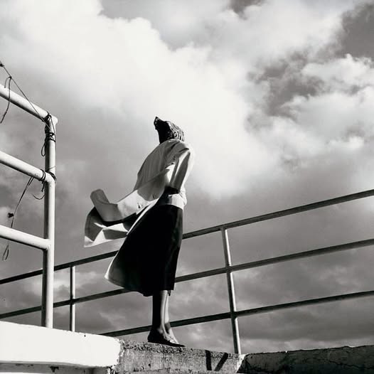 literlandweb1's tweet image. "Se pagan caros los intentos
de destruir el dolor, porque
también está el amor ahí.
La inteligencia es salvarlo todo".
Joan Margarit
📷Paco Gómez