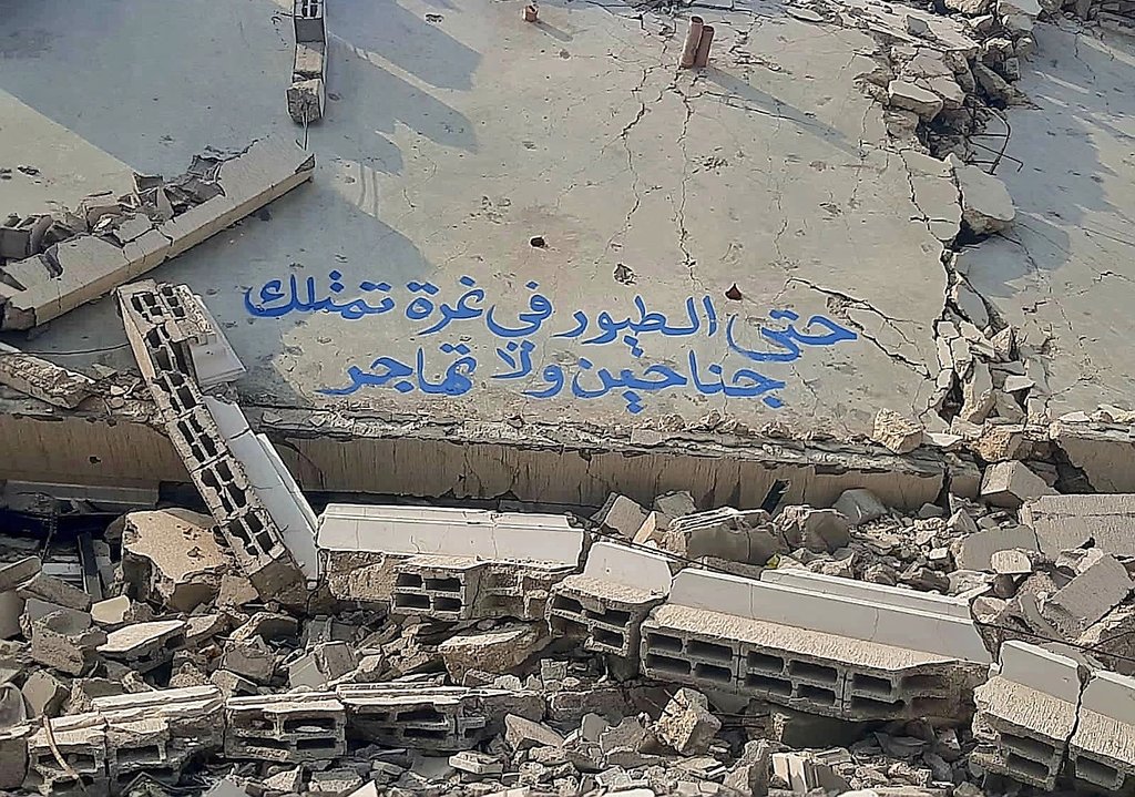 Even the birds have wings, but they never leave Gaza ❤️‍🩹!
Written on the rubble of my home :)..