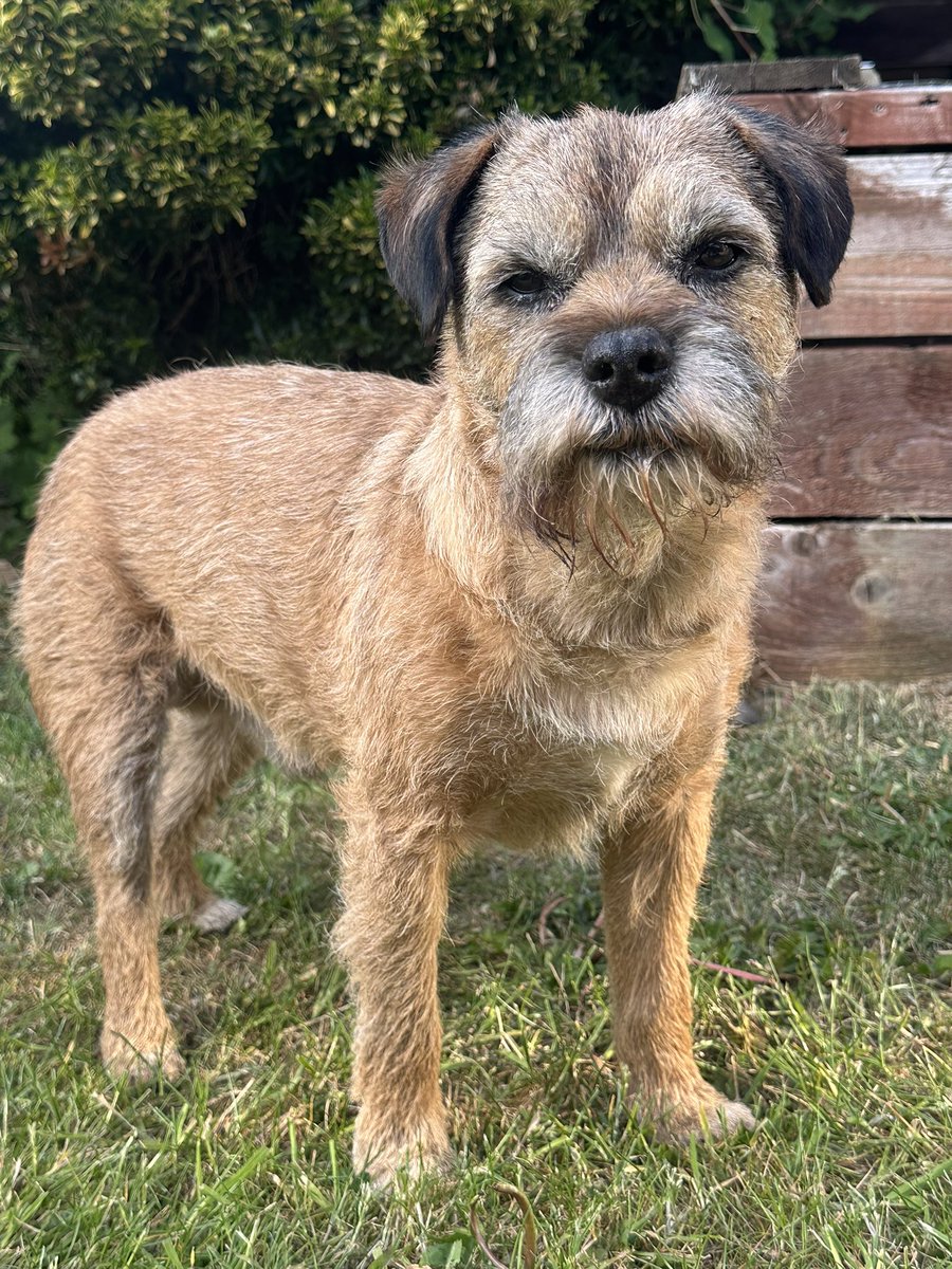 Riley_roo888's tweet image. Sunday sunshine 😊 #BTPosse #Boys