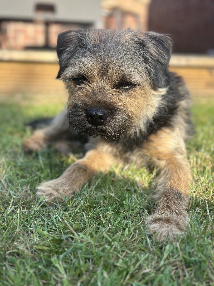 Riley_roo888's tweet image. Sunday sunshine 😊 #BTPosse #Boys