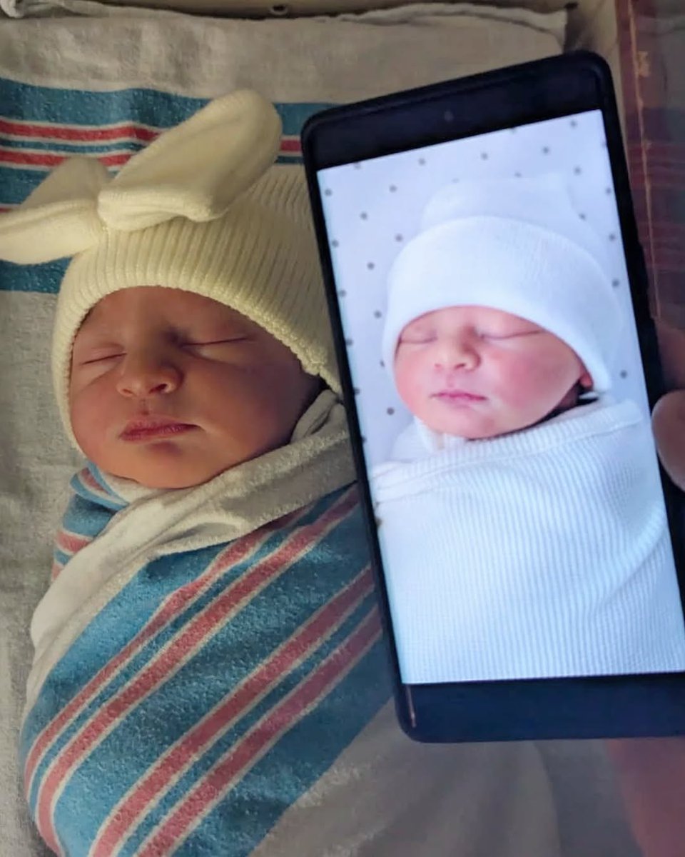 Jarrod Alonge tweet media