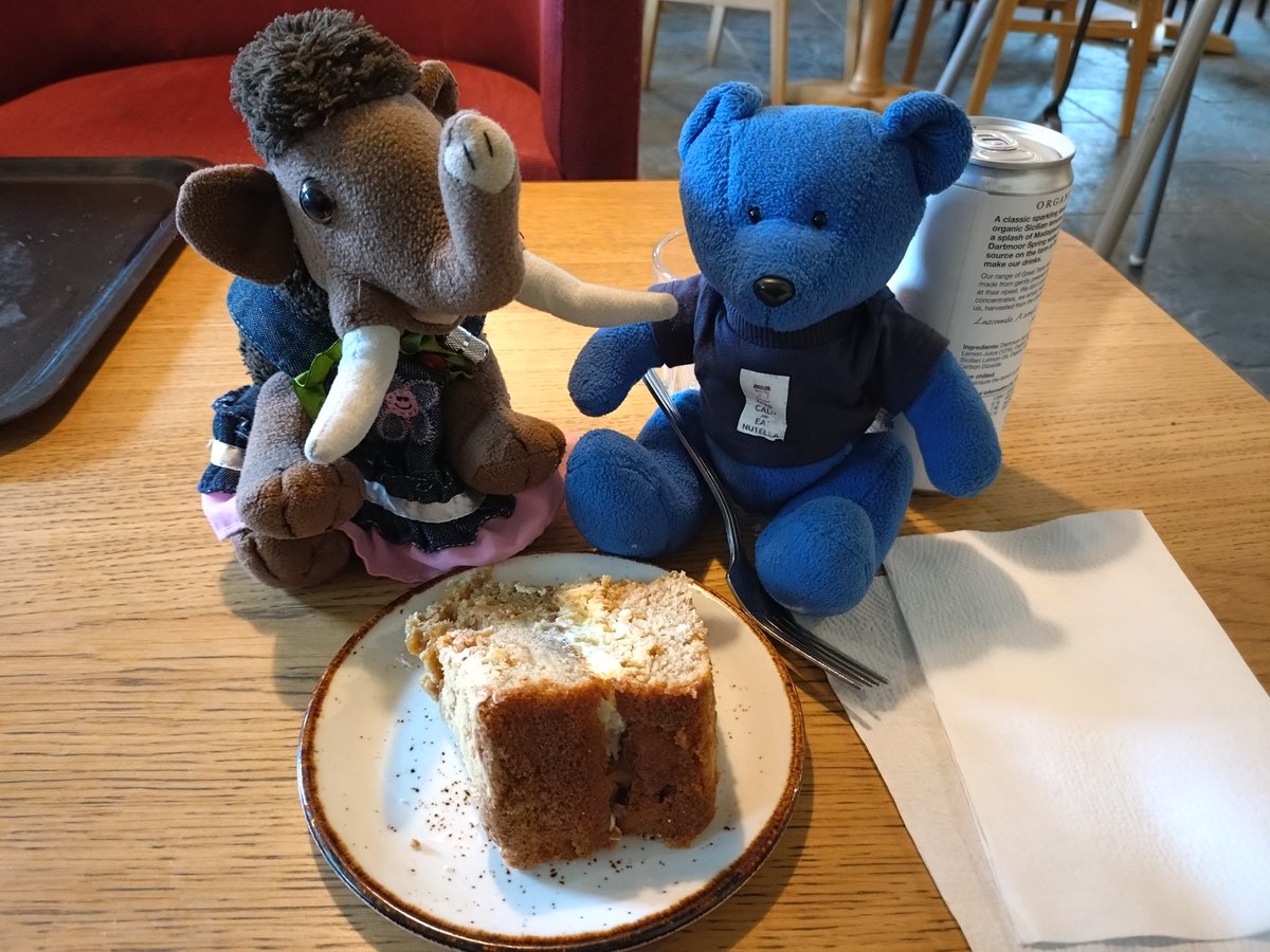 Today was our first long #geocaching walk in a while. 22/23, which was great and we even talked Human into ending <a href="/Coughton_Court/">Coughton Court Gardens</a>  <a href="/nationaltrust/">National Trust</a> for cake! #smallbearadventures #cake #cayk
