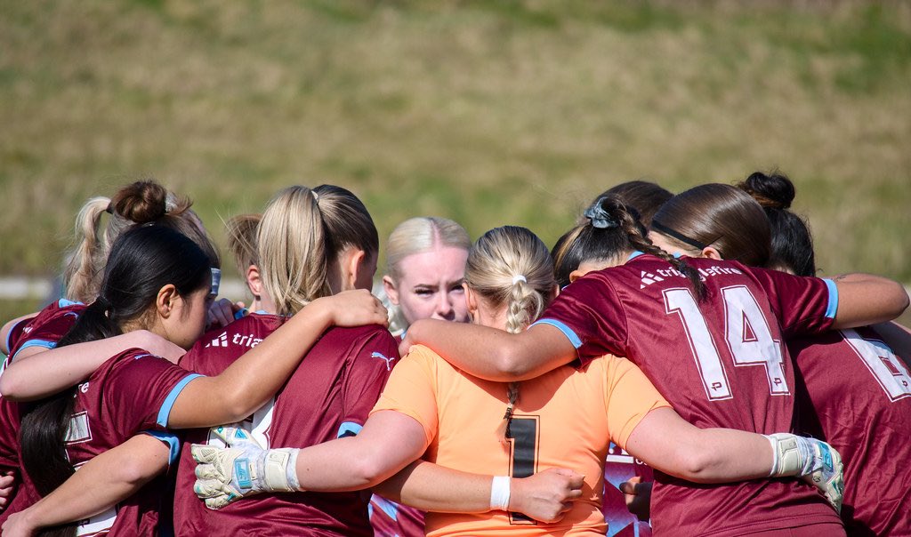 Jason Tibble tweet media