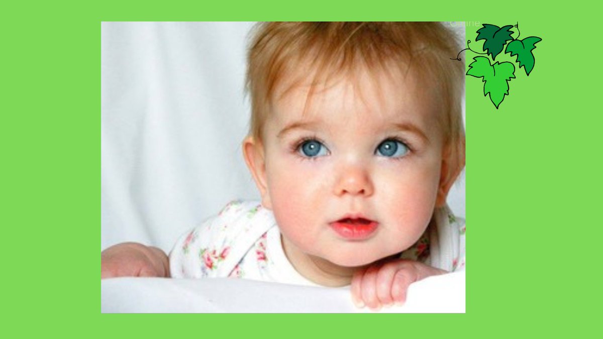 🌟🌟🌟🌟🌟“The highlight of my maternity leave was going to Baby Sensory every week. The classes are brilliant and the babies love it!” 👶 #BabySensory classes have been highly recommended by #localmums. Read our reviews here 👉 tinyurl.com/yns2uvmk #localmumsonline #babyclass