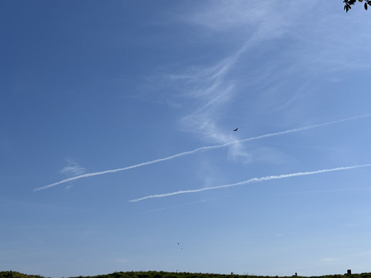 AndyMay36121988's tweet image. Okay.
We hear “planes at different altitudes” cause trails and some don’t - pic 1 - did these 2 planes jump/drop?
Pics 2, 3 &4. They say trails don’t linger and expand.
Well.
Same trails through all 4 pics. 1546hrs - 1614hrs.
Yeah.