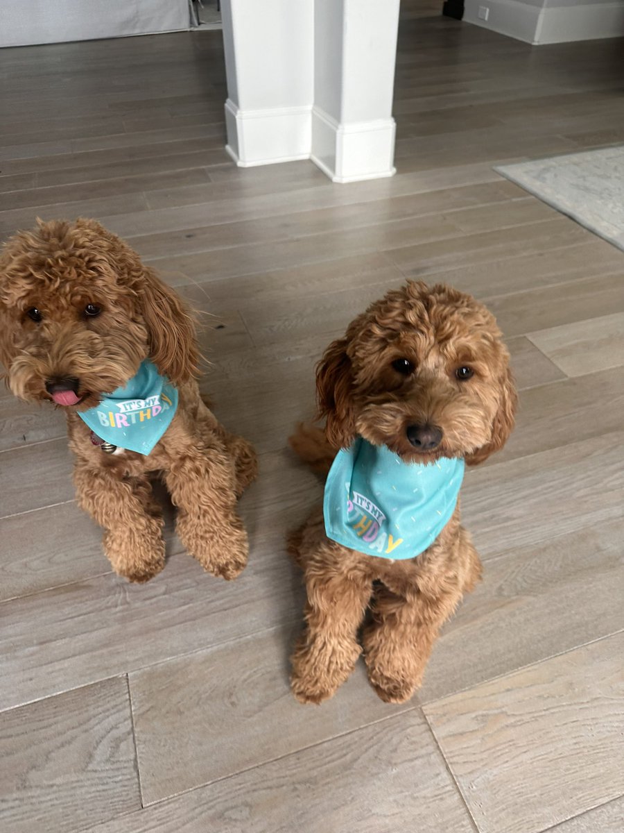 Leigh Ralston tweet media