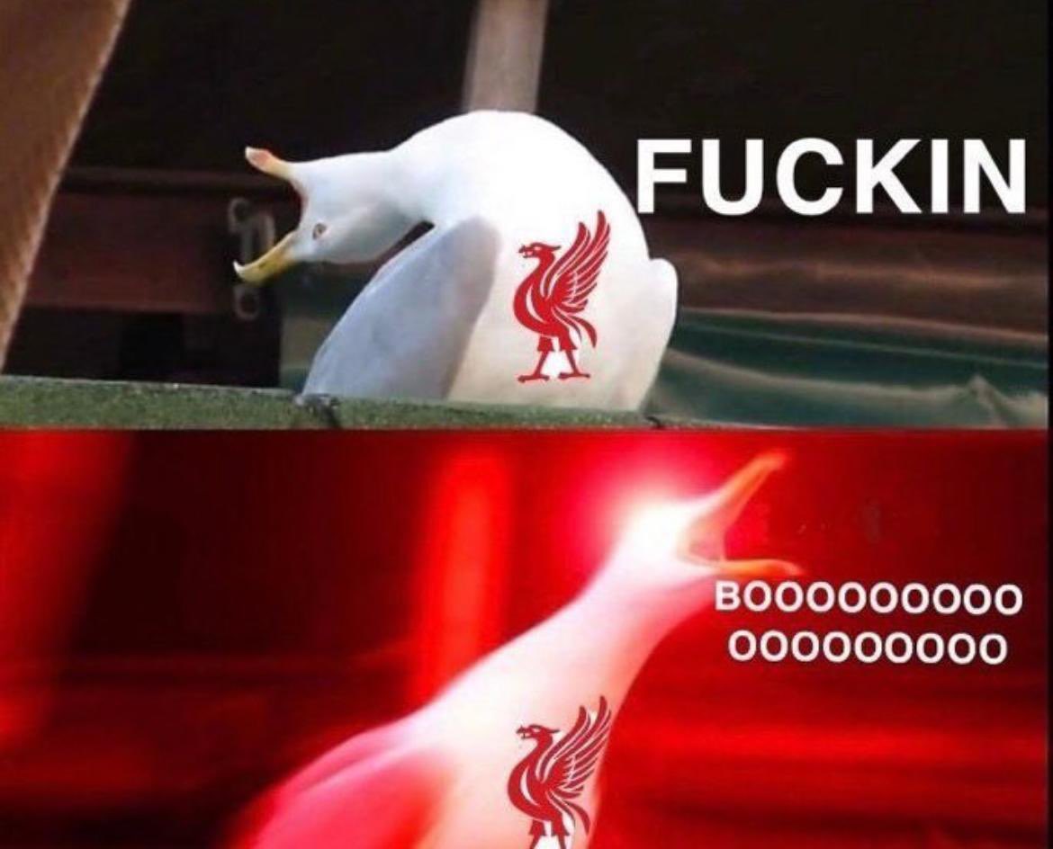 everton kits (@evertonshirts) on Twitter photo 