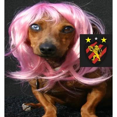 Desde que o papa Leão assumiu, todos os times que possuem o animal como mascote venceram.

O Sport é o único que vai sendo ESBAGAÇADO, o que prova que na realidade o time é uma cadelinha de peruca, cachorra cabeluda, uma RAPARIGA ASSANHADA.