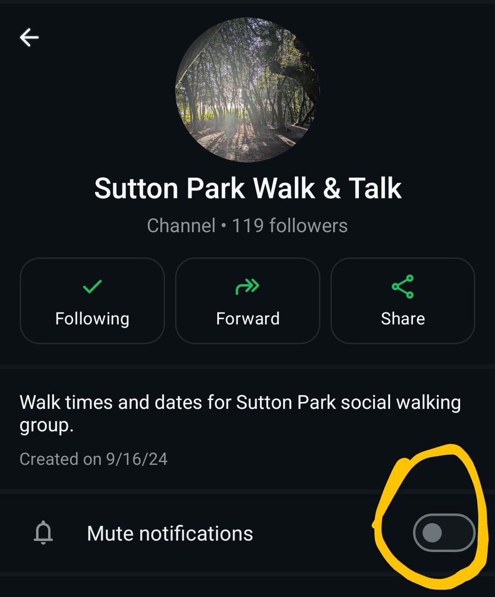 #BrumHour Are you a female who enjoys walking in Sutton Park but can't always find someone to walk with?

👀 Do you feel exhausted by the amount of time we spend online in our daily lives?

👀 Do you often wish you could escape from social media?

✅Do you crave face-to-face