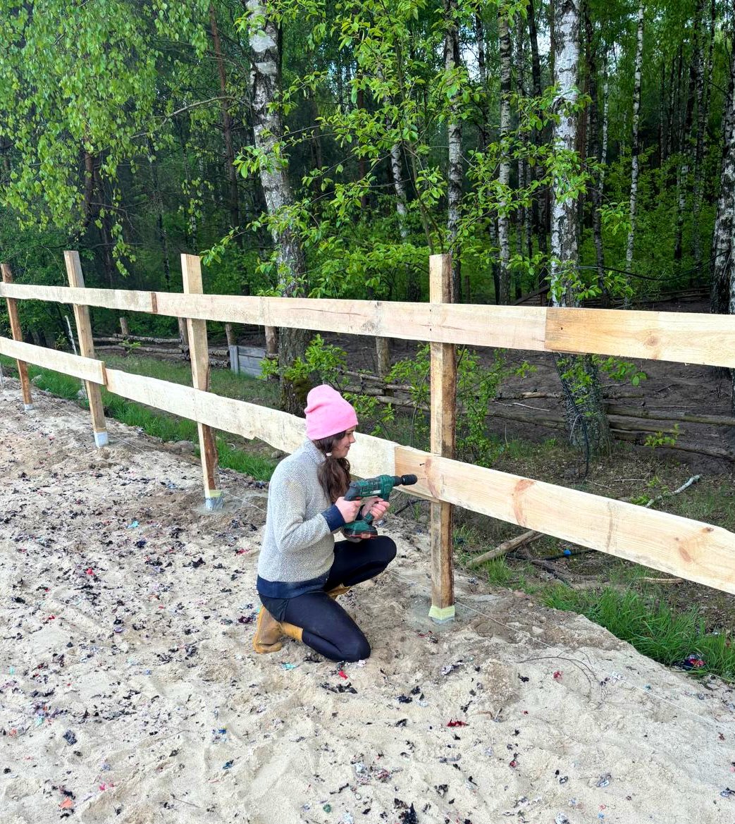 Krystyna 🍪 (cookie) tweet media