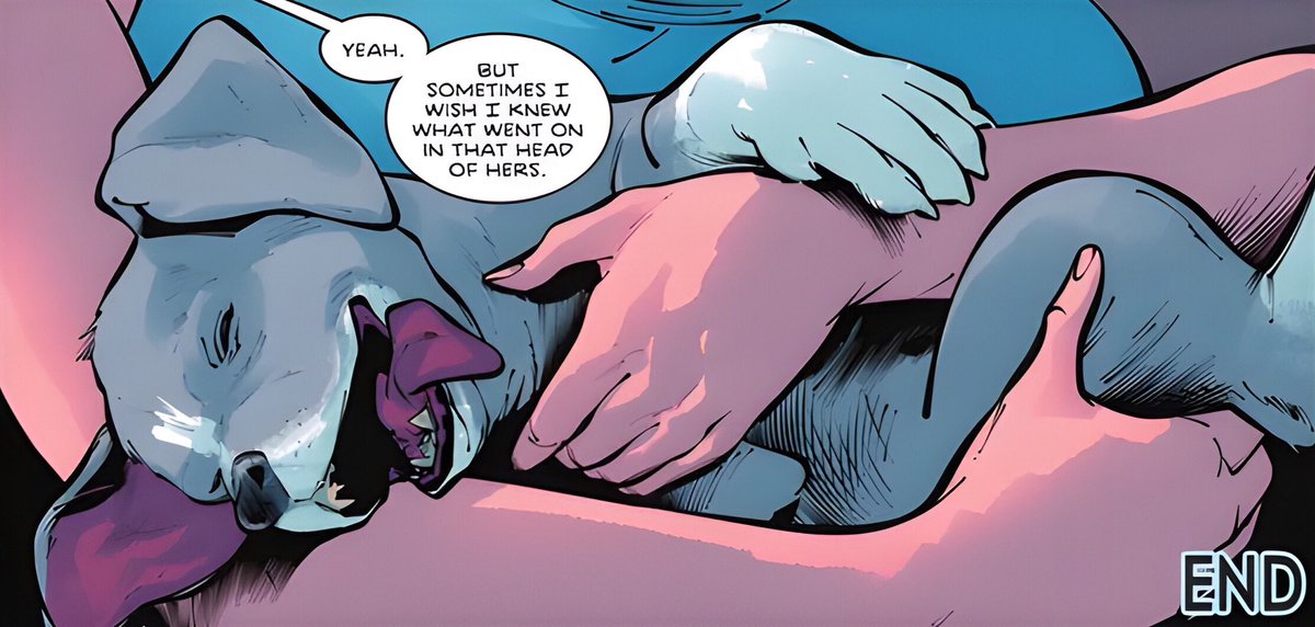 PORTAL BARBARA GORDON tweet media