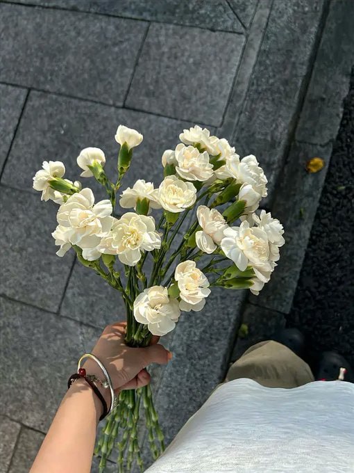 Carrying sunshine in my hands  Fresh flowers, fresh vibes 
<a href="/FlowersDaily_/">Flowers</a>